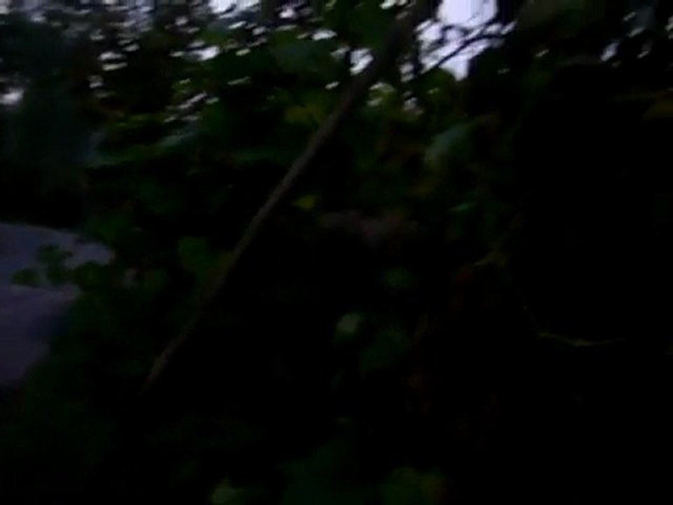 Trabzon - Arsin - Yolüstü koyu ( beyuk hara) www.yolustuorne