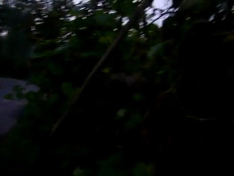 Trabzon - Arsin - Yolüstü koyu ( beyuk hara) yolustuorne