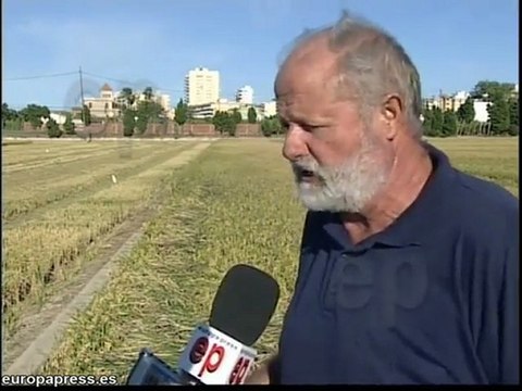 Arroceros piden alternativas para evitar multas de tráfico P