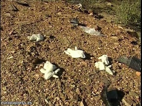 Mueren tres jóvenes por accidente en Huelva