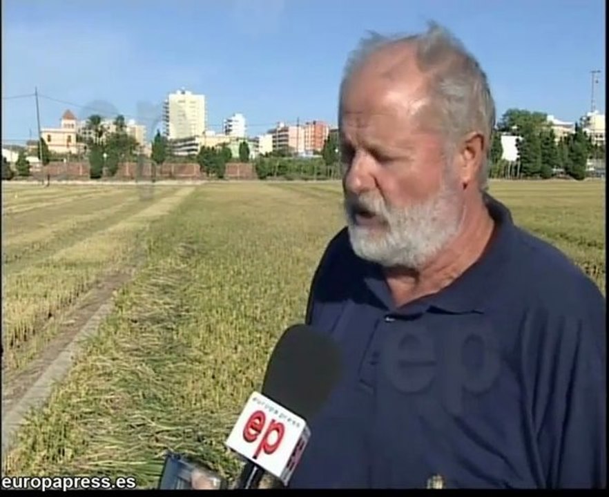 Arroceros piden alternativas para evitar multas