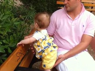Cours de botanique