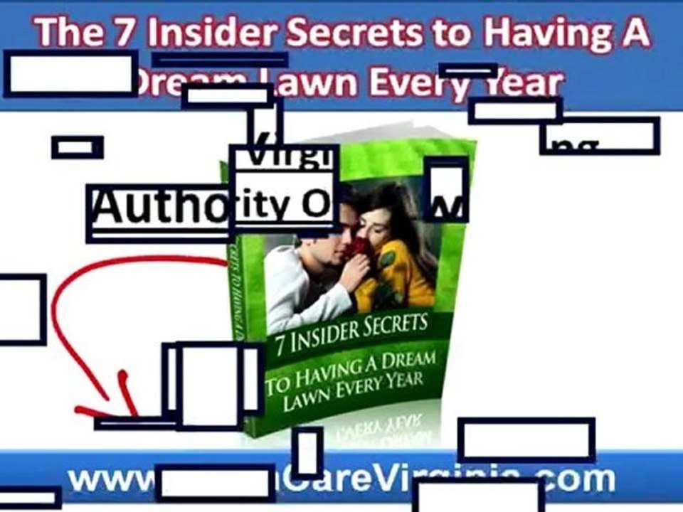 Charlottesville VA Lawn Care Company|Green Lawn Care