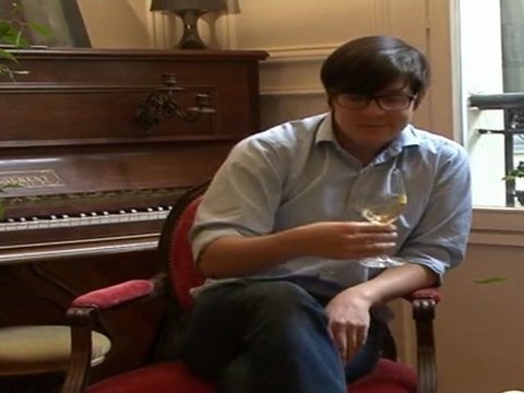 Domaine de Valdition blanc, IGP Alpilles, 2010