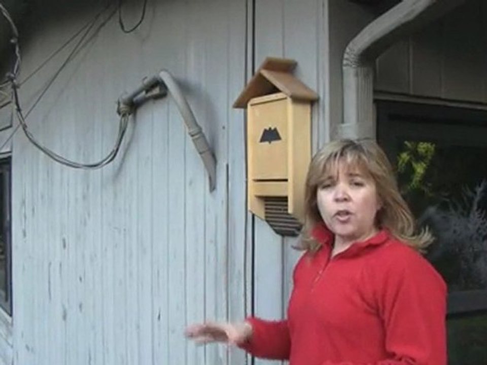 June 11/11 Senga's Vlog on How To Attract Bats to Your ...