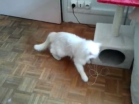 Eddy joue seule pour la 1ère fois