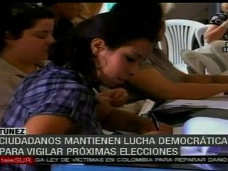 Ciudadanos de Túnez continúan su lucha democrática