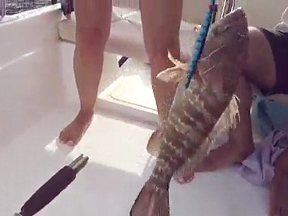 JIGGING TEKNİĞİ İLE LAGOS AVI (KUM GRİDASI) - www.adrasanbalik.com