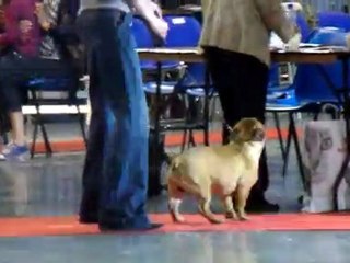 Expo Douai 11 juin 2011 005