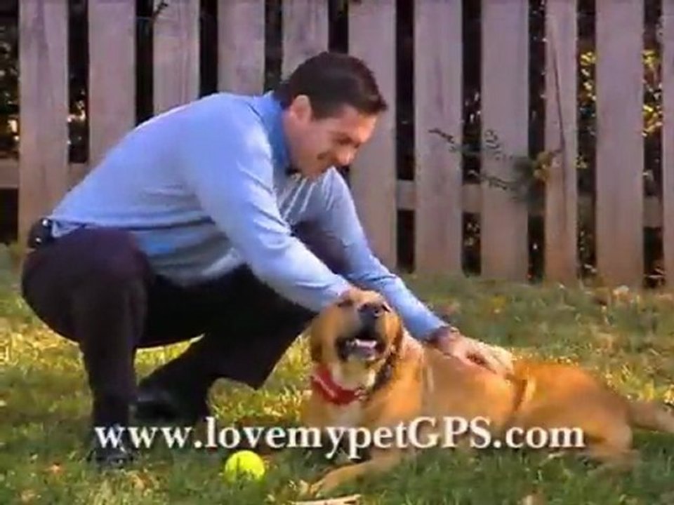 Gps dog collar Fast Write Up About The Garmin eTrex H GPS Na