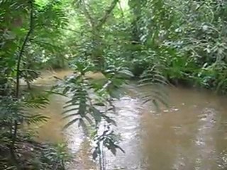 Selva Lacandona Mexico 2010, Bonampak