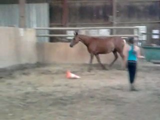 Lucky travail en liberté ( échauffement )