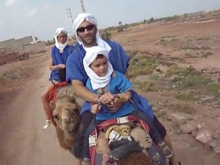 Ballades en dromadaire à Marrakech