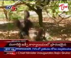 Cockfights busted in Medchal