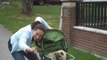 Never leave your older dog behind again with the Dogger dog stroller