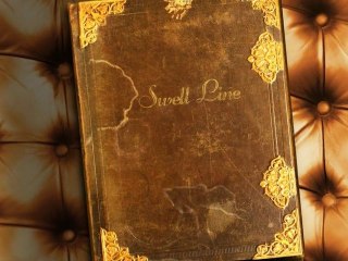 Doctor FLAKE - Swell Line