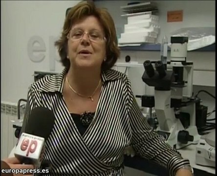 Nuevo proyecto con células madre