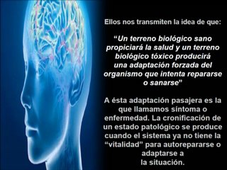 Alimentos Alcalinos - Adelgazar Equilibrando el Ph