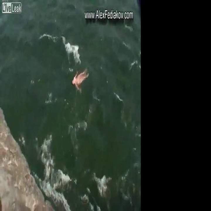 Frau Selbstmord an den Niagarafällen 31. Mai 2011