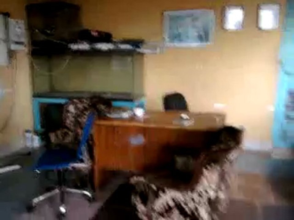 HAZER EMLAK TEL: 0546 851 6657  SATILIK TAVUK KÜMESİ SATILIK TAVUK KÜMESLERİ, SAHİBİNDEN TAVUK KÜMESİ