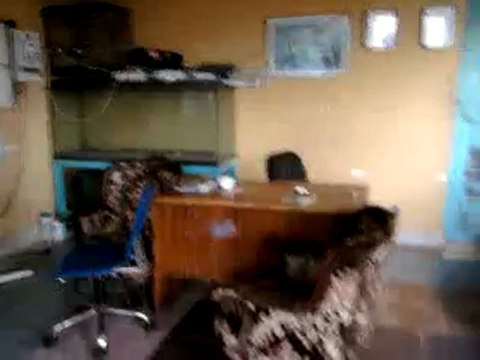 HAZER EMLAK TEL: 0546 851 6657 SAKARYA SATILIK TAVUK KÜMESİ