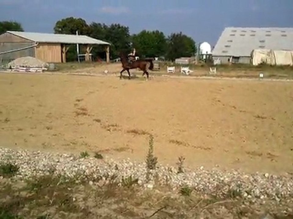 Alison & Quodi