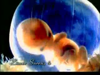 Kuran Meali, Zümer Suresi 1-9