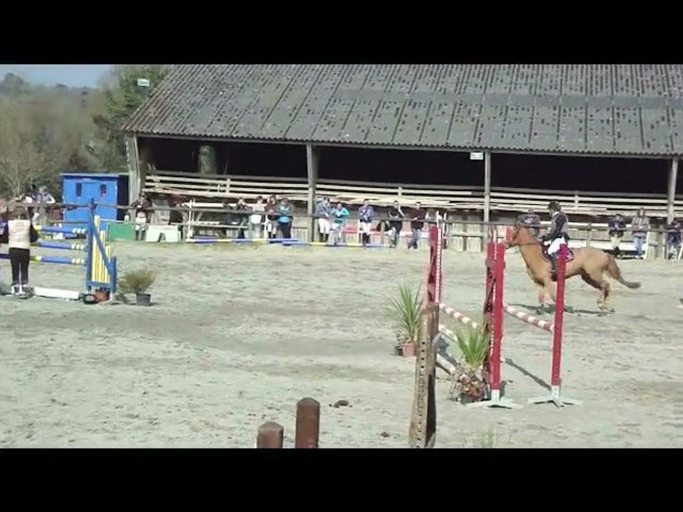 Luc Haden 2010 - 2011