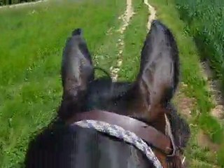 Galopade au Mont-Sion