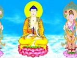 (8-8) Chuyện Niệm Phật Cảm Ứng - Lâm Kháng Trị