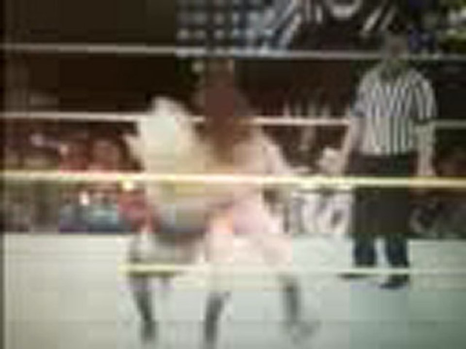 Kaitlyn Finisher (Wedgie Flatliner on Rosa Mendes)