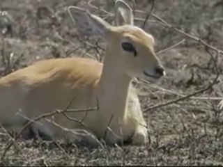 Les Grands Phénoménes Naturels.