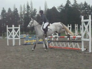 Hunter Ploermel club 2 L'Azure Du Pontreau (5eme)