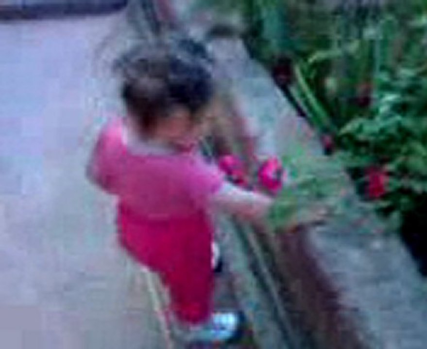 MOV00001 (2)