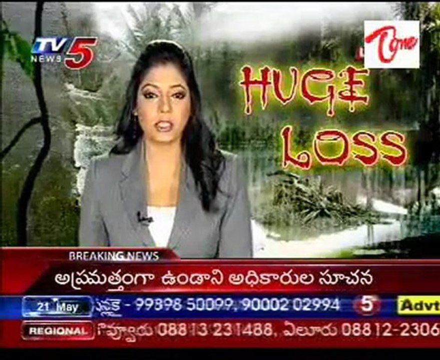 Hundreds of trees and electricity poles uprooted