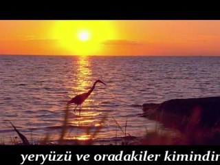 Kalbesimya Grubu Üç aylar