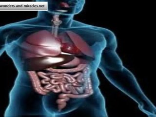 leaky gut syndrome diabetes