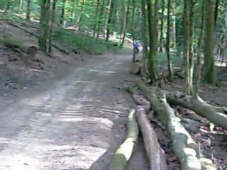 ballade dans les bois