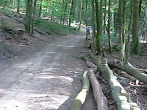 ballade dans les bois