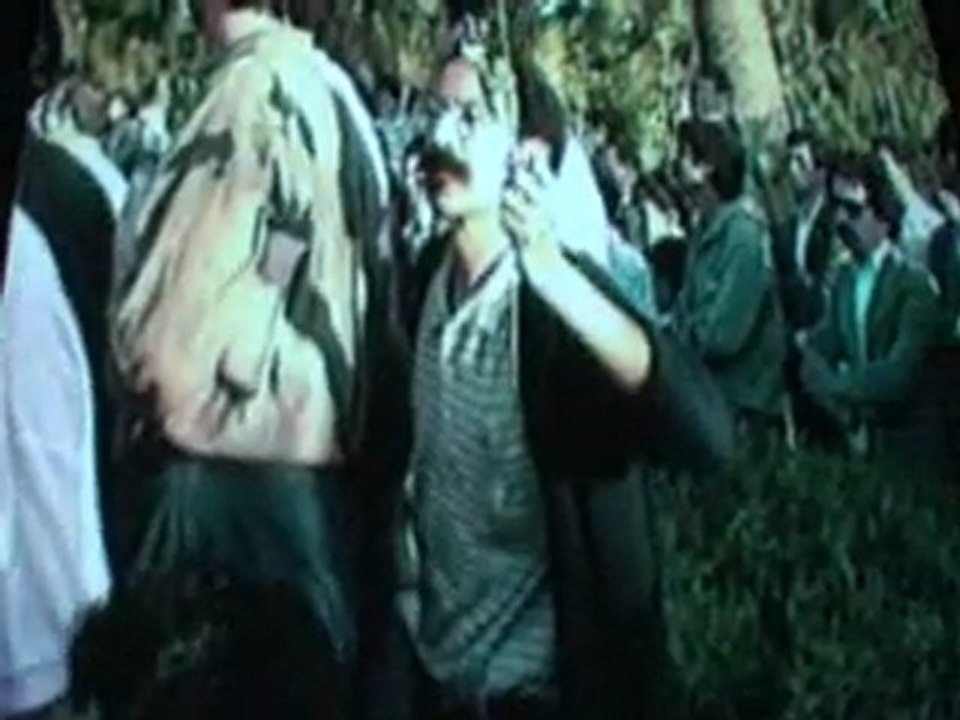 5.GATTI ET CINEMA