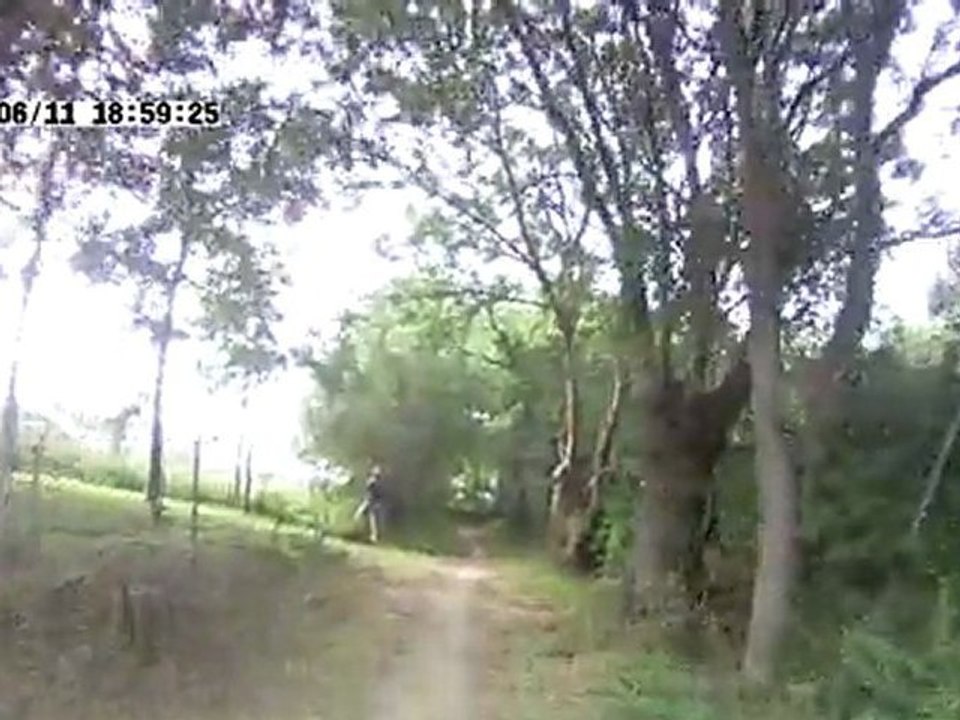 CLIP0006