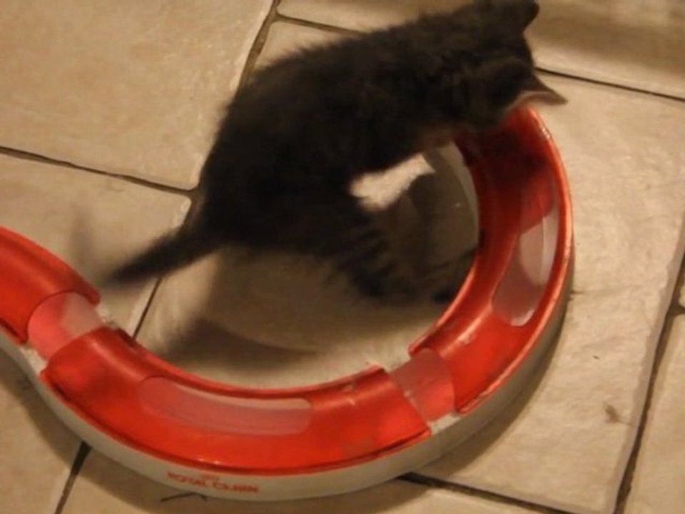 Pénélope et le circuit