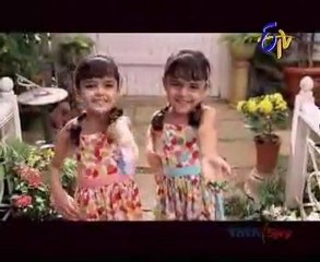 Abhiruchi - Anitha Chowdary's Mother Special Recipes - Gutti Vankaya Kura & Rava Laddu - 01