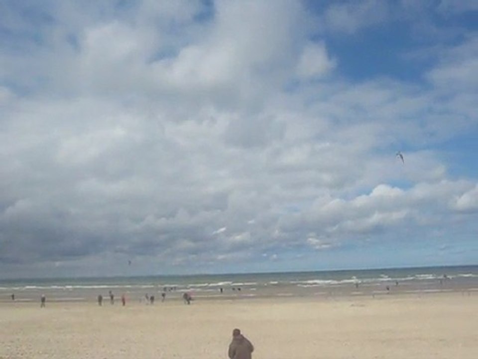 Pascal Stella 2011