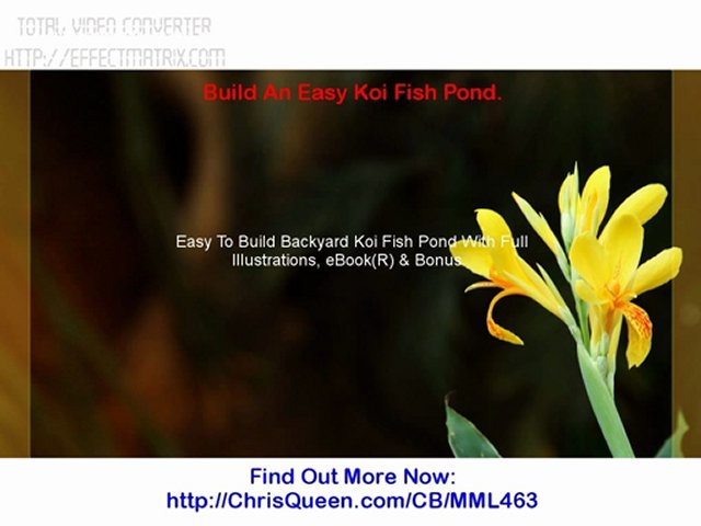 Build An Easy Koi Fish Pond.