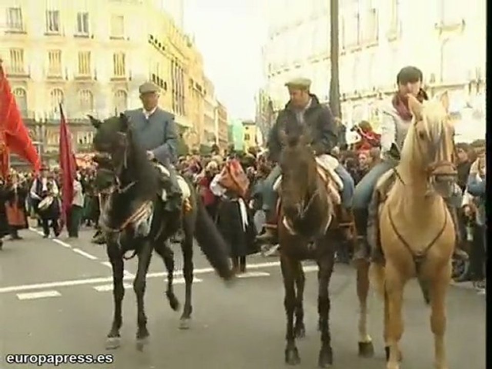 Fiesta de la trashumancia