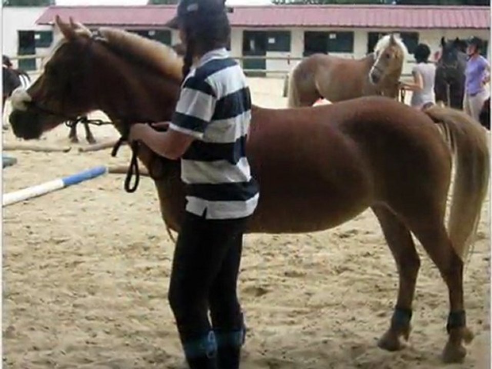 Cour Ethologique Marine&Imprévue