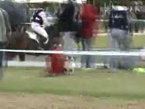 cross oberon fontenay 12