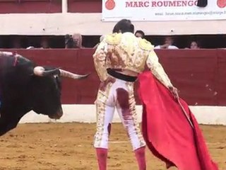 CORRIDA DE VIC LE  11 JUIN APRES-MIDI