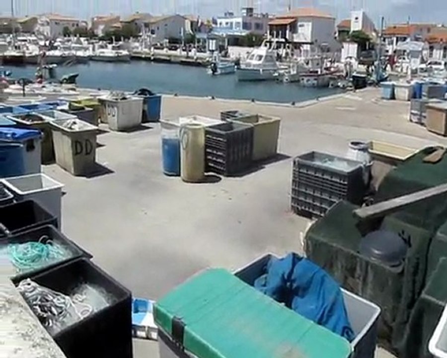 Saintes Maries de la mer